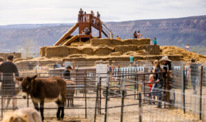 Studt Farm's Pumpkin Patch and Corn Mazes